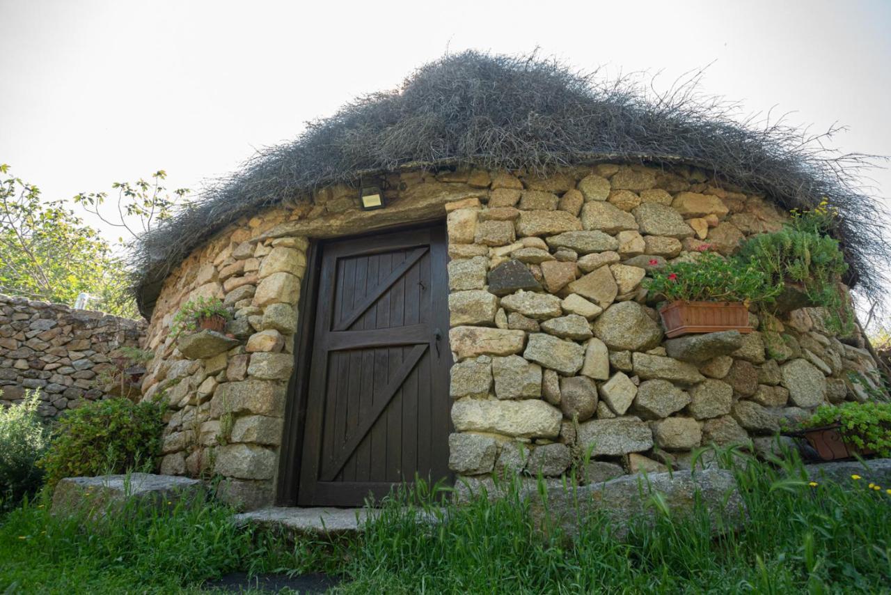 Agriturismo Testone Benetutti Exterior foto