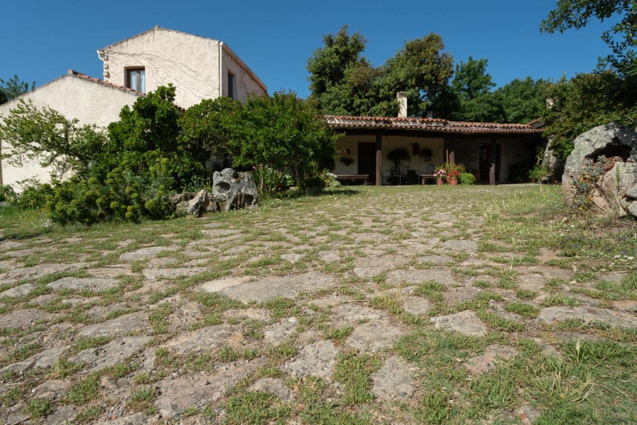 Agriturismo Testone Benetutti Exterior foto