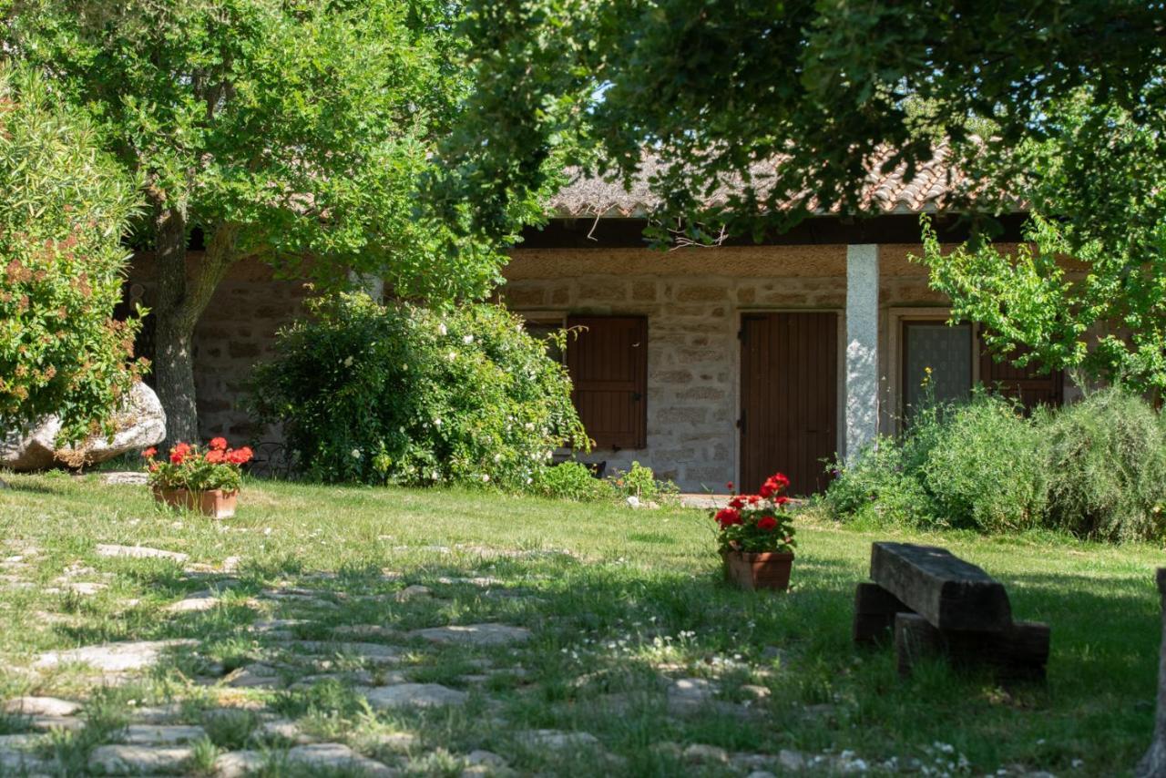 Agriturismo Testone Benetutti Exterior foto